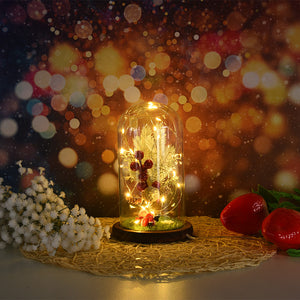 Romantic Immortal  Wire Lamp Christmas Micro Landscape Decoration